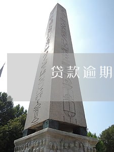 贷款逾期保险代偿后起诉