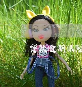 贷款逾期保险公司追偿 贷款逾期保险公司追偿