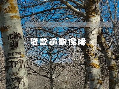 贷款逾期保障 贷款逾期保障