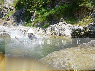 贷款逾期信息10 贷款逾期信息10