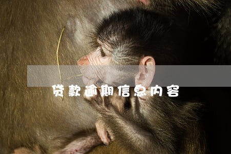 贷款逾期信息内容 贷款逾期信息内容