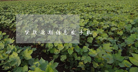 贷款逾期信息发手机 贷款逾期信息发手机