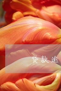 贷款逾期信用不良 贷款逾期信用不良