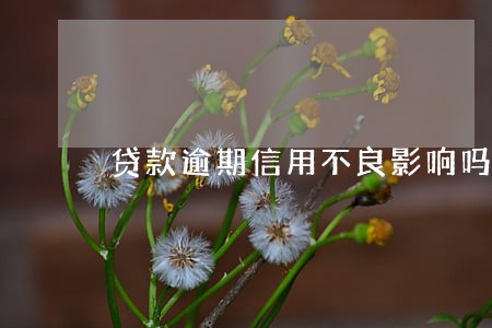 贷款逾期信用不良影响吗