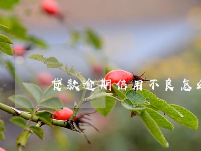 贷款逾期信用不良怎么整 贷款逾期信用不良怎么整
