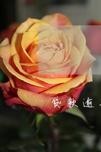 贷款逾期信用卡会卡流水吗 贷款逾期信用卡会卡流水吗