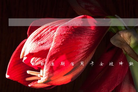 贷款逾期信用卡会被降额吗 贷款逾期信用卡会被降额吗