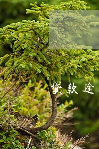 贷款逾期信用卡停卡 贷款逾期信用卡停卡