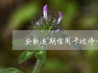 贷款逾期信用卡被停卡吗 贷款逾期信用卡被停卡吗