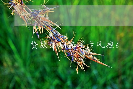 贷款逾期信用卡风控6 贷款逾期信用卡风控6