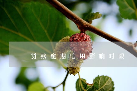 贷款逾期信用影响时限 贷款逾期信用影响时限
