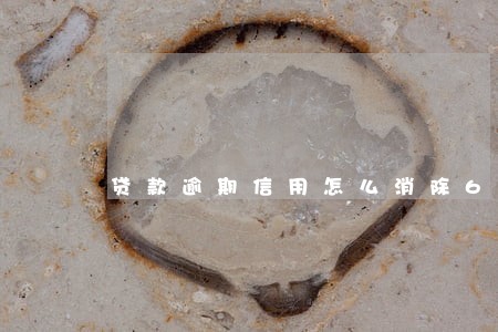 贷款逾期信用怎么消除6