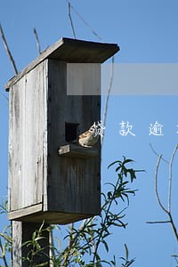 贷款逾期信用记录消除 贷款逾期信用记录消除