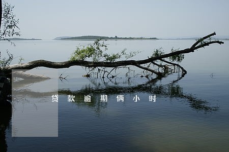 贷款逾期俩小时 贷款逾期俩小时