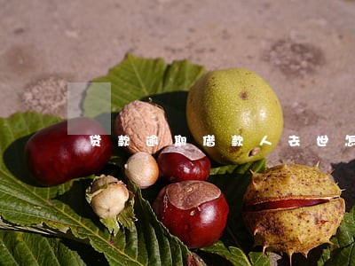 贷款逾期借款人去世怎么办 贷款逾期借款人去世怎么办