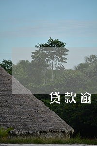 贷款逾期做化解 贷款逾期做化解
