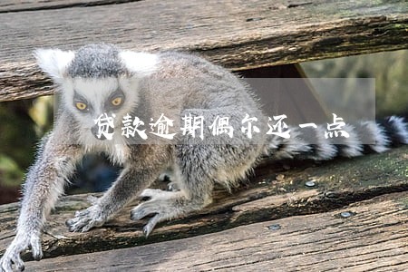 贷款逾期偶尔还一点 贷款逾期偶尔还一点