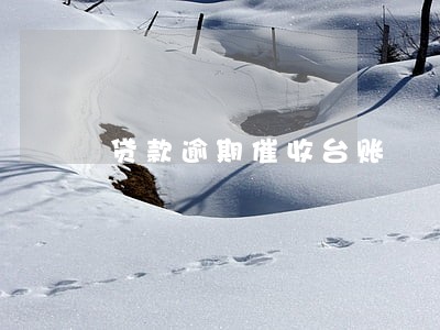 贷款逾期催收台账 贷款逾期催收台账