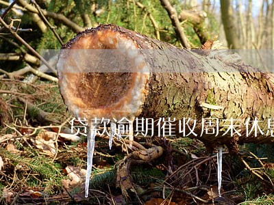 贷款逾期催收周末休息吗 贷款逾期催收周末休息吗