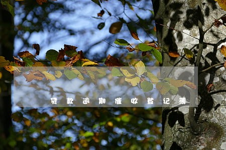 贷款逾期催收登记薄 贷款逾期催收登记薄