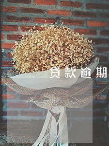 贷款逾期催款 贷款逾期催款