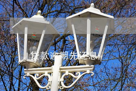 贷款逾期先还息 贷款逾期先还息