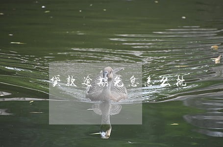 贷款逾期免息怎么批 贷款逾期免息怎么批
