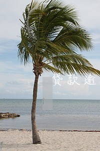 贷款逾期八次 贷款逾期八次