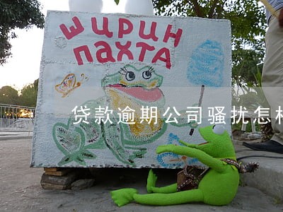 贷款逾期公司骚扰怎样处理 贷款逾期公司骚扰怎样处理