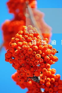 贷款逾期公证有效时间 贷款逾期公证有效时间