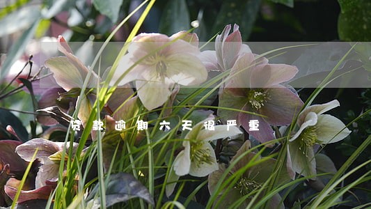 贷款逾期六天很严重 贷款逾期六天很严重