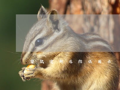 贷款逾期冻结信用卡 贷款逾期冻结信用卡