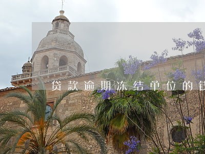 贷款逾期冻结单位的钱怎么办 贷款逾期冻结单位的钱怎么办
