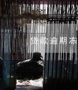 贷款逾期冻结银行 贷款逾期冻结银行