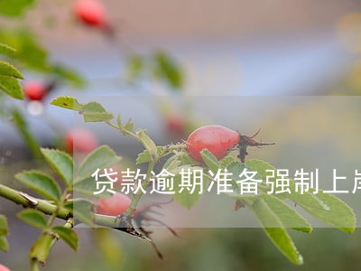 贷款逾期准备强制上岸 贷款逾期准备强制上岸