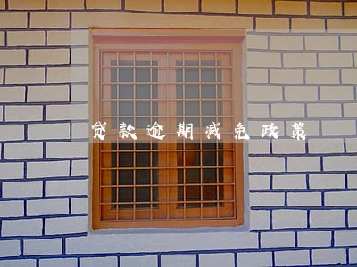 贷款逾期减免政策 贷款逾期减免政策