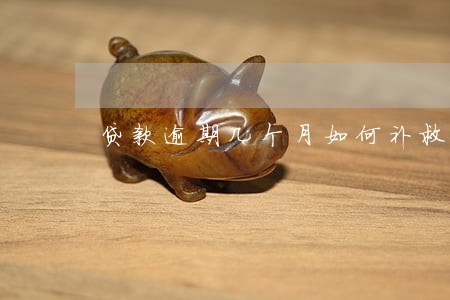 贷款逾期几个月如何补救 贷款逾期几个月如何补救