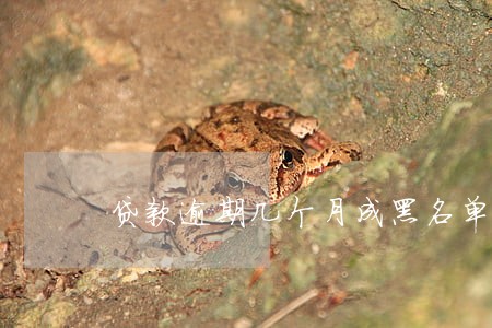 贷款逾期几个月成黑名单 贷款逾期几个月成黑名单