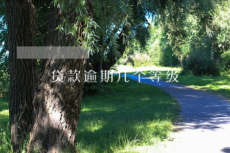 贷款逾期几个等级 贷款逾期几个等级