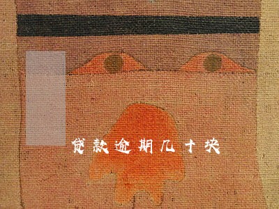 贷款逾期几十块 贷款逾期几十块