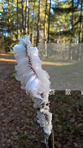 贷款逾期几天不良 贷款逾期几天不良