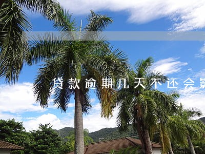 贷款逾期几天不还会影响征信 贷款逾期几天不还会影响征信