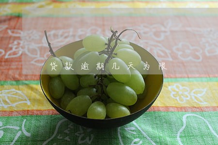 贷款逾期几天为限 贷款逾期几天为限