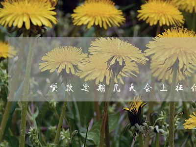贷款逾期几天会上征信记录 贷款逾期几天会上征信记录
