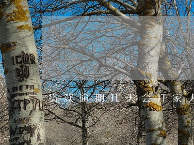 贷款逾期几天会打家人电话 贷款逾期几天会打家人电话