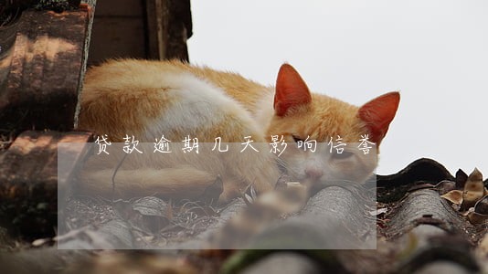 贷款逾期几天影响信誉 贷款逾期几天影响信誉