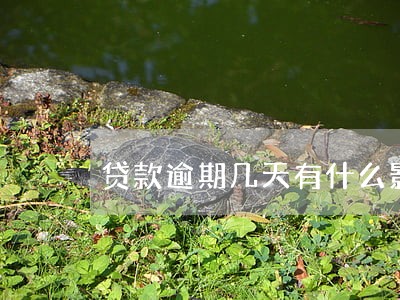 贷款逾期几天有什么影响 贷款逾期几天有什么影响