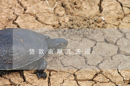 贷款逾期几天还 贷款逾期几天还