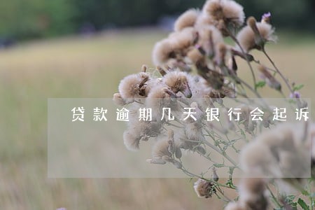 贷款逾期几天银行会起诉 贷款逾期几天银行会起诉