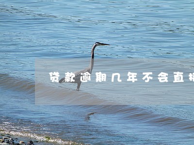 贷款逾期几年不会直接报案 贷款逾期几年不会直接报案